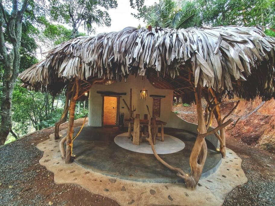 Ella Retreat Cottage for Nature Lovers Esterno foto